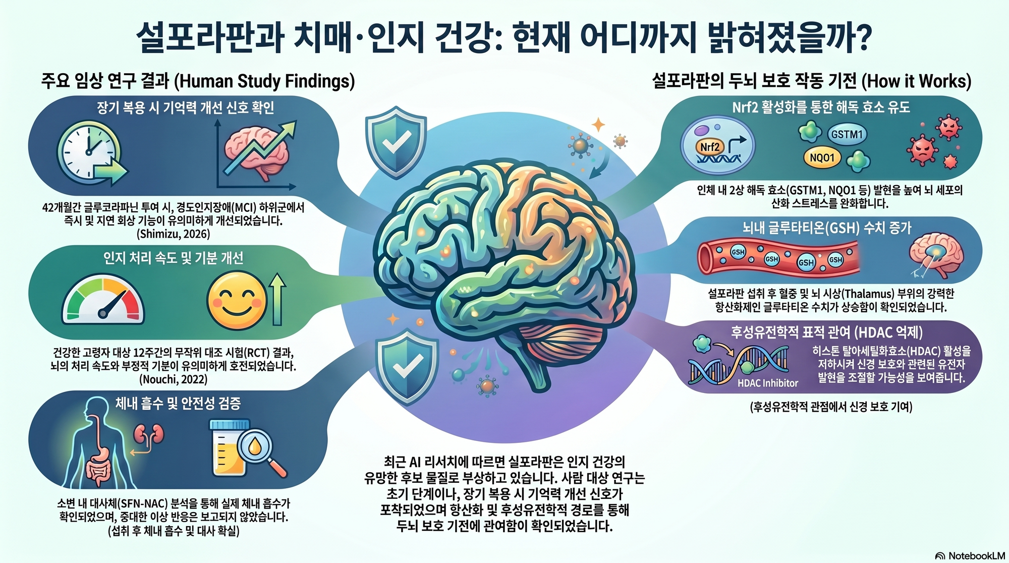                         설포라판과 치매·인지건강 AI 리서치                             
                        