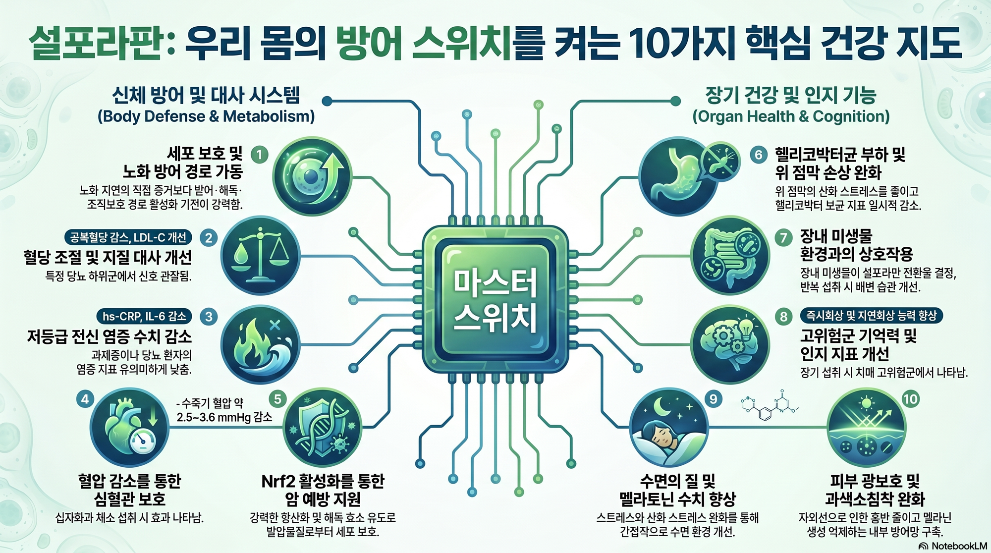 설포라판 AI 리서치