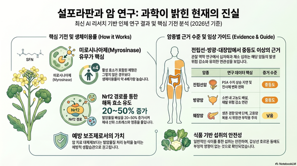 설포라판과 암 AI 리서치