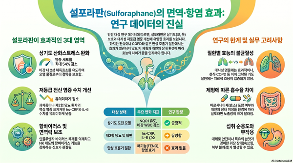 설포라판과 면역·염증 AI 리서치