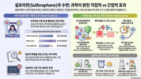 설포라판과 수면 AI 리서치